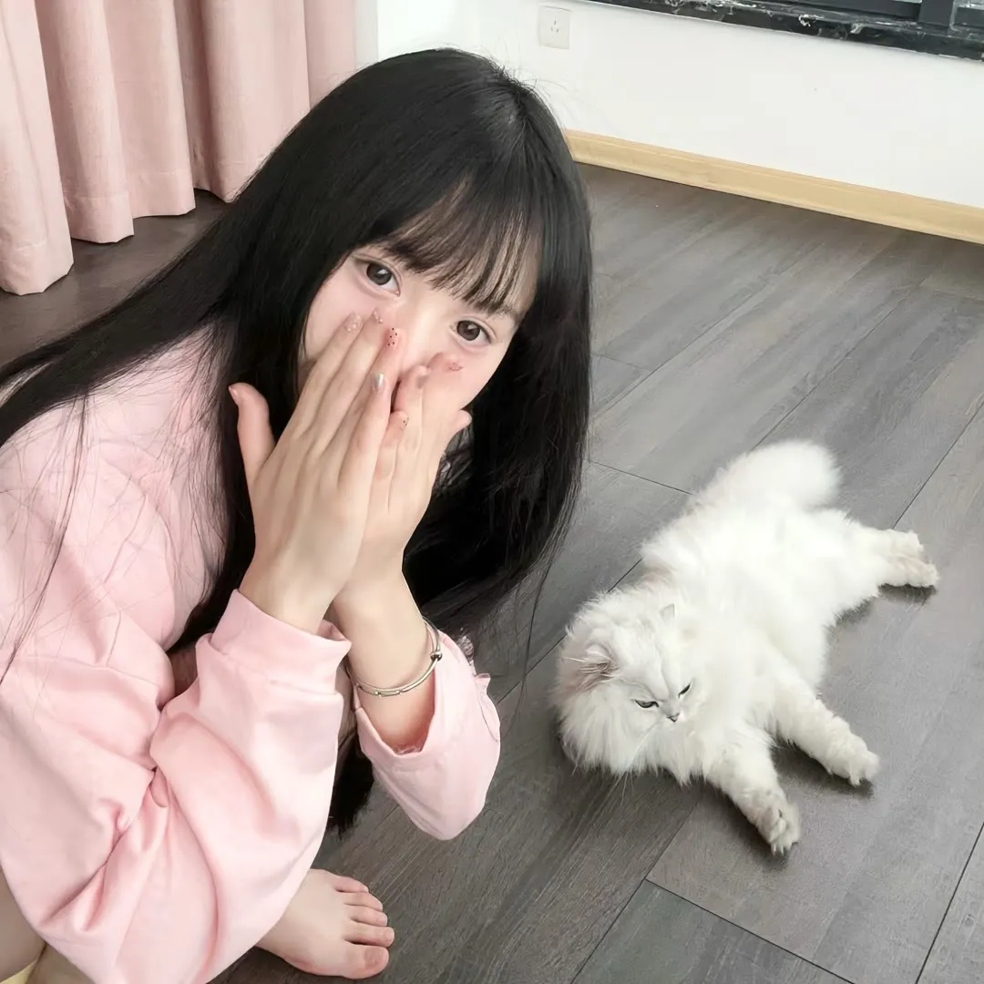 八零之五宝喜盈门